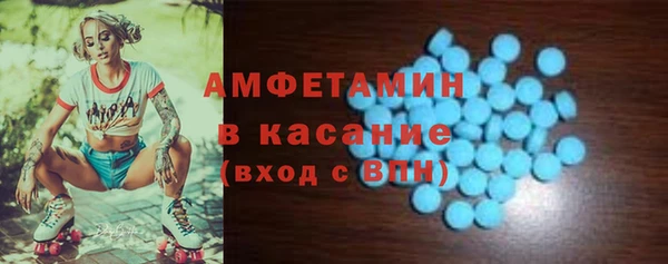 гашик Алексин