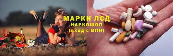 прущий лед Аркадак