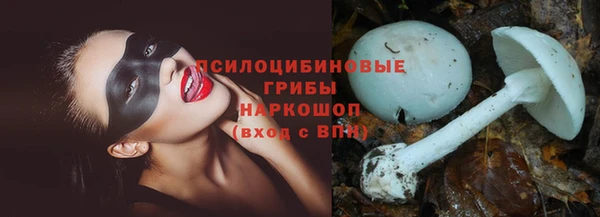 сатива Алексеевка
